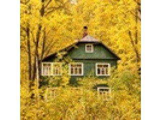 Сентябрь на даче: что успеть сделать в саду и огороде до холодов