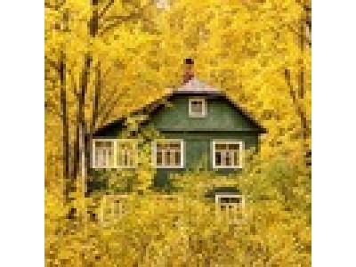 Сентябрь на даче: что успеть сделать в саду и огороде до холодов
